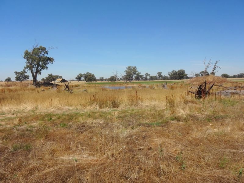 785 Boomahnoomoonah East Road, Bundalong VIC 3730