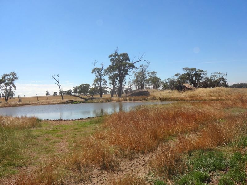 785 Boomahnoomoonah East Road, Bundalong VIC 3730