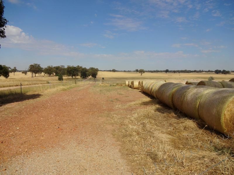 785 Boomahnoomoonah East Road, Bundalong VIC 3730