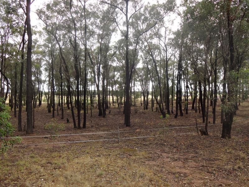 359 Forest Road, Boweya North VIC 3675