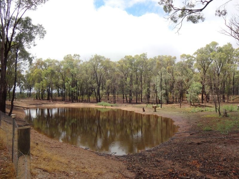 359 Forest Road, Boweya North VIC 3675