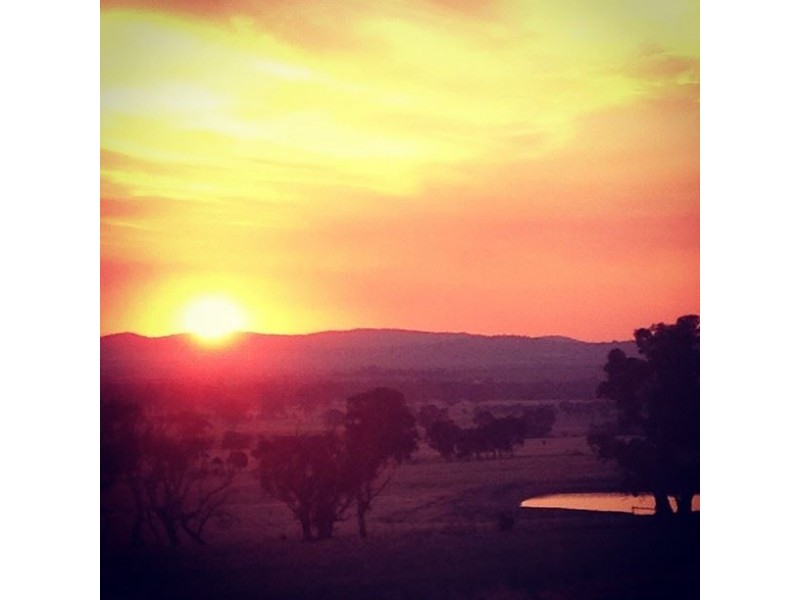 Wangaratta South VIC 3678