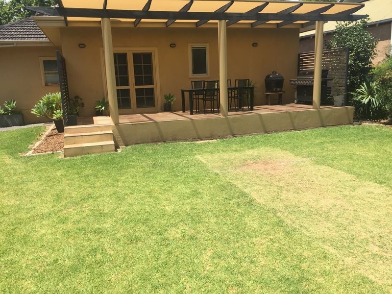 79 Green Street, Wangaratta VIC 3677