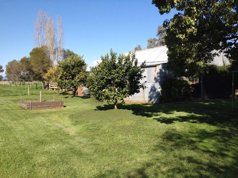 206 Church Lane, Milawa VIC 3678