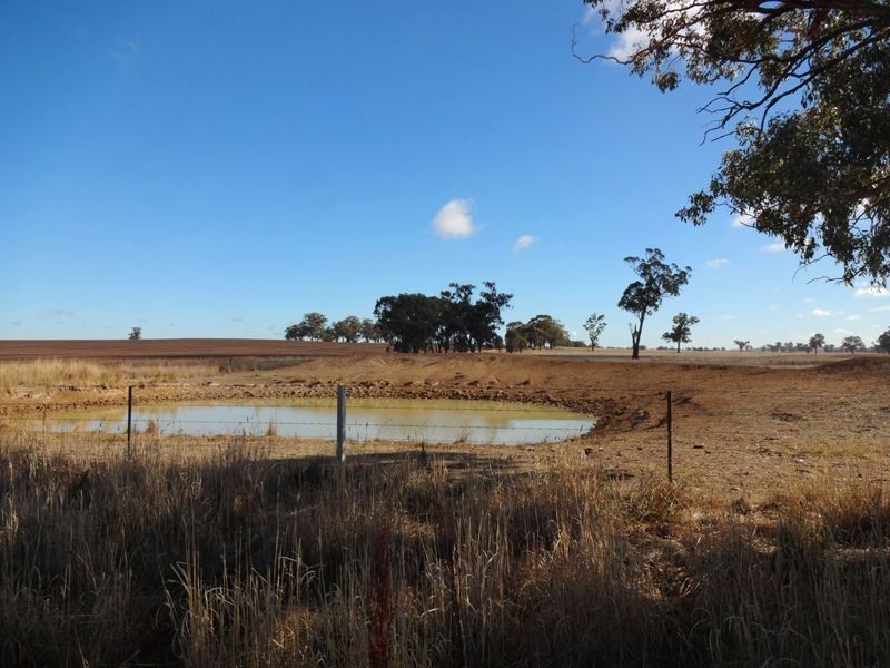 483 Nishs Road, Peechelba VIC 3678