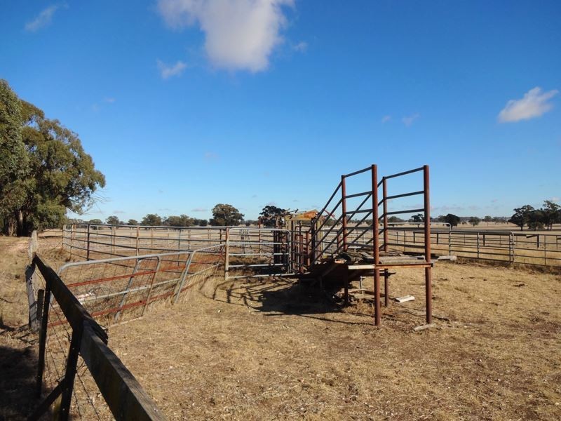 483 Nishs Road, Peechelba VIC 3678