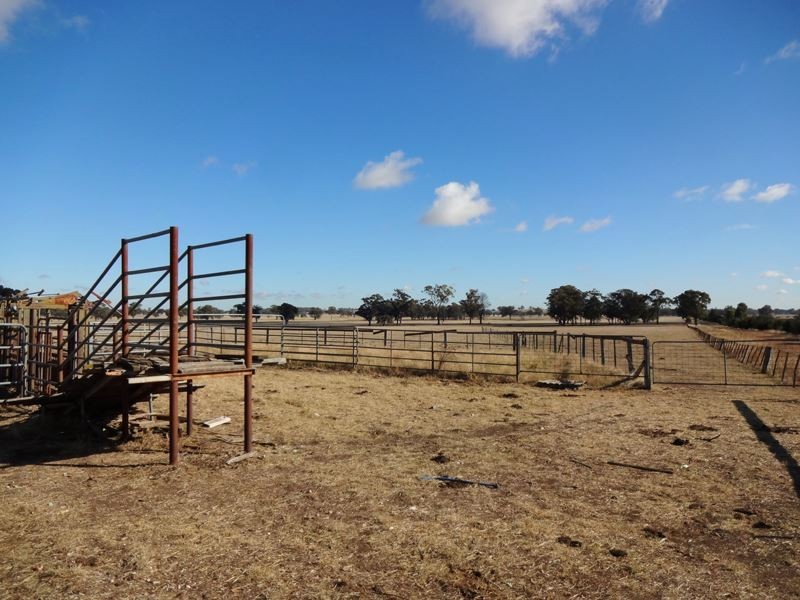 483 Nishs Road, Peechelba VIC 3678