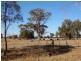 483 Nishs Road, Peechelba VIC 3678