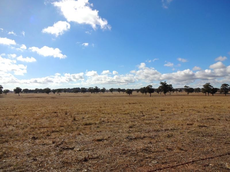 483 Nishs Road, Peechelba VIC 3678