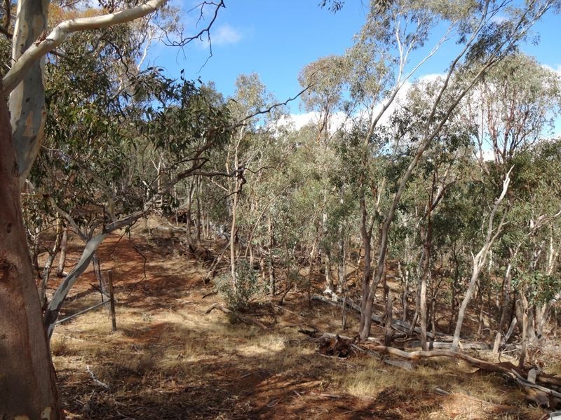 418 Embling Road, Lurg VIC 3673