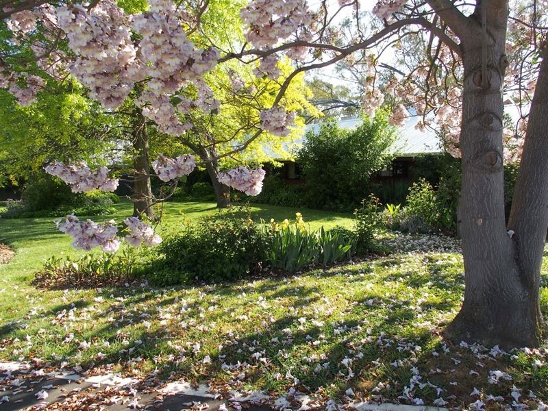 Wangaratta VIC 3677