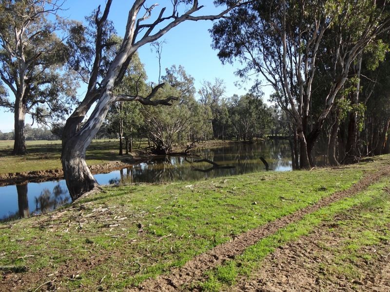 479 Brimin Road, Brimin VIC 3685