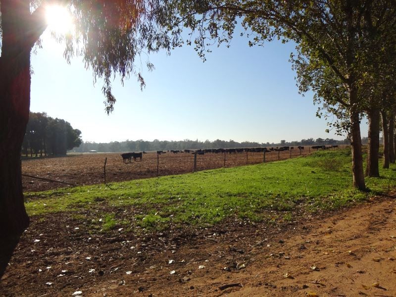 479 Brimin Road, Brimin VIC 3685