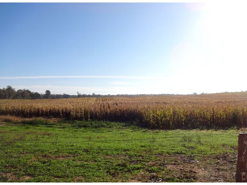 479 Brimin Road, Brimin VIC 3685