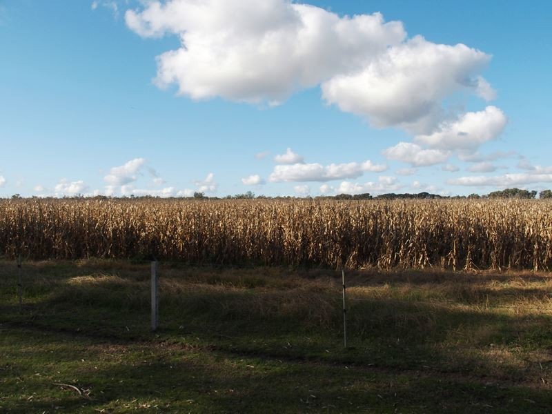 479 Brimin Road, Brimin VIC 3685