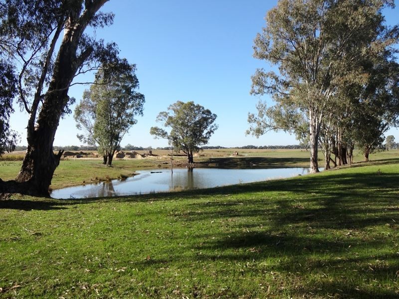 479 Brimin Road, Brimin VIC 3685