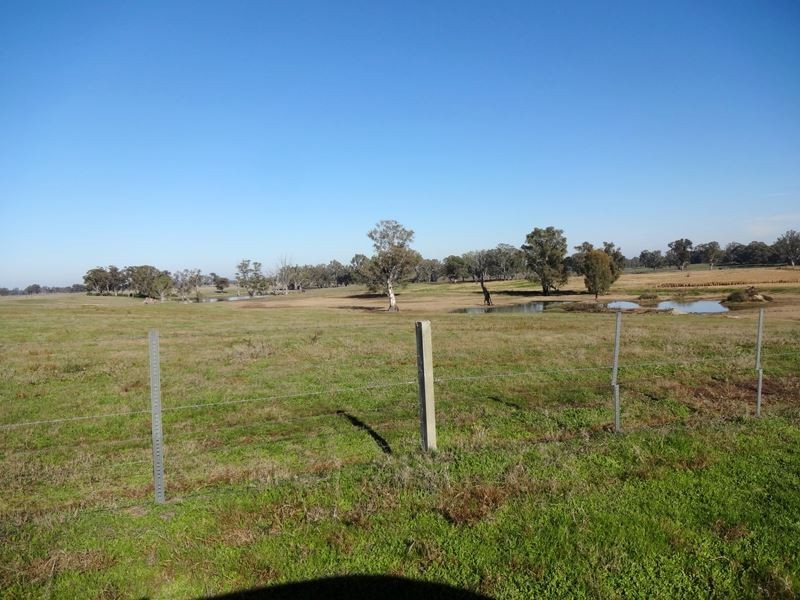 479 Brimin Road, Brimin VIC 3685