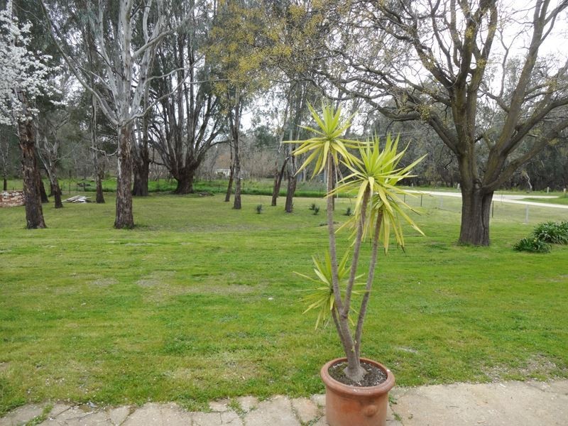 1 Willis Street, Wangaratta VIC 3677