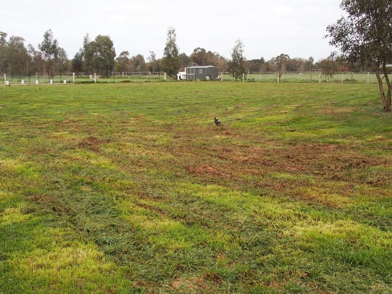 Lot 1/122 Milawa-Bobinawarrah Road, Milawa VIC 3678