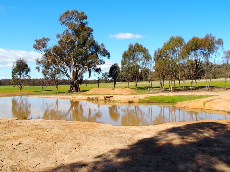 C/A 74 Wangaratta Road, Boweya North VIC 3675