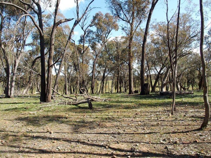 C/A 74 Wangaratta Road, Boweya North VIC 3675