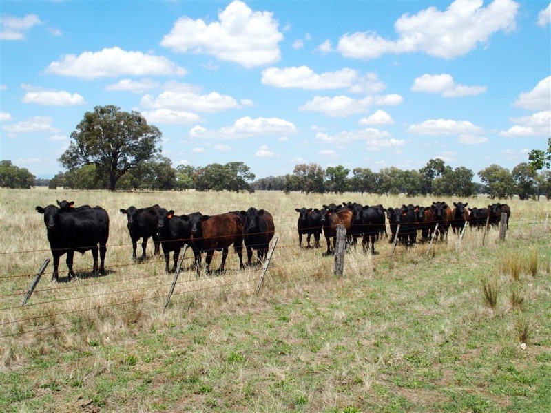 East Wangaratta VIC 3678