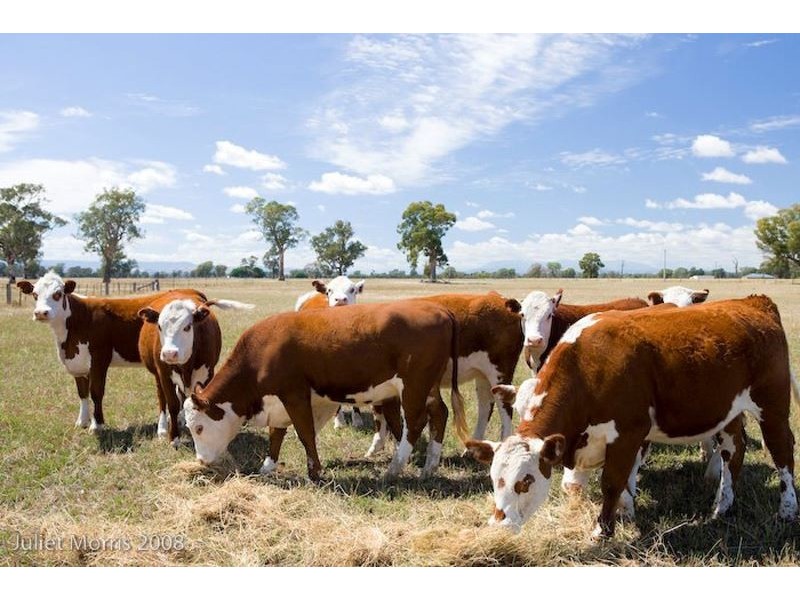 East Wangaratta VIC 3678