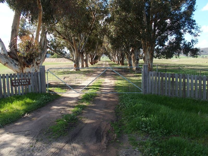 114 Booth Road, Taminick VIC 3675