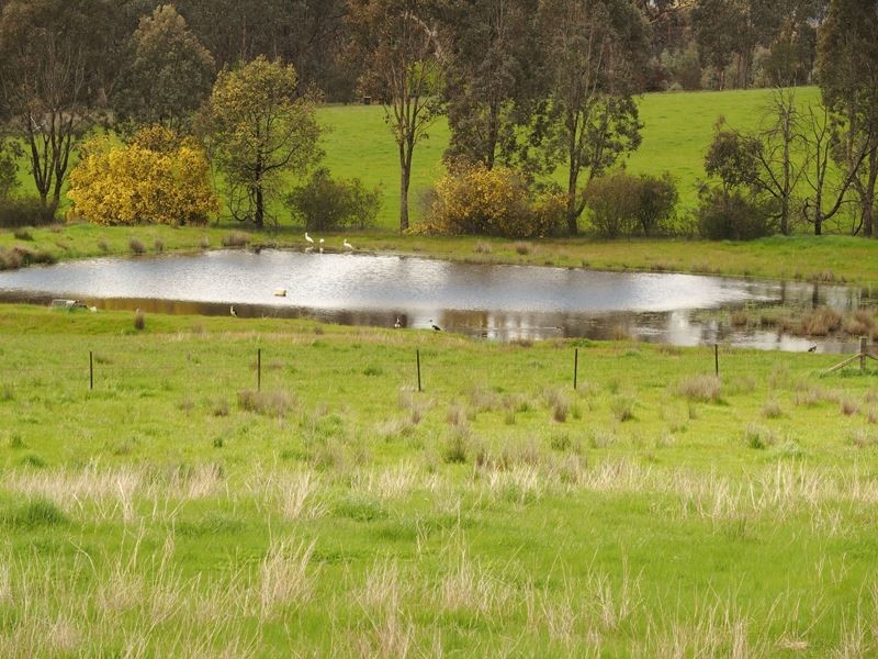 Everton Upper VIC 3678