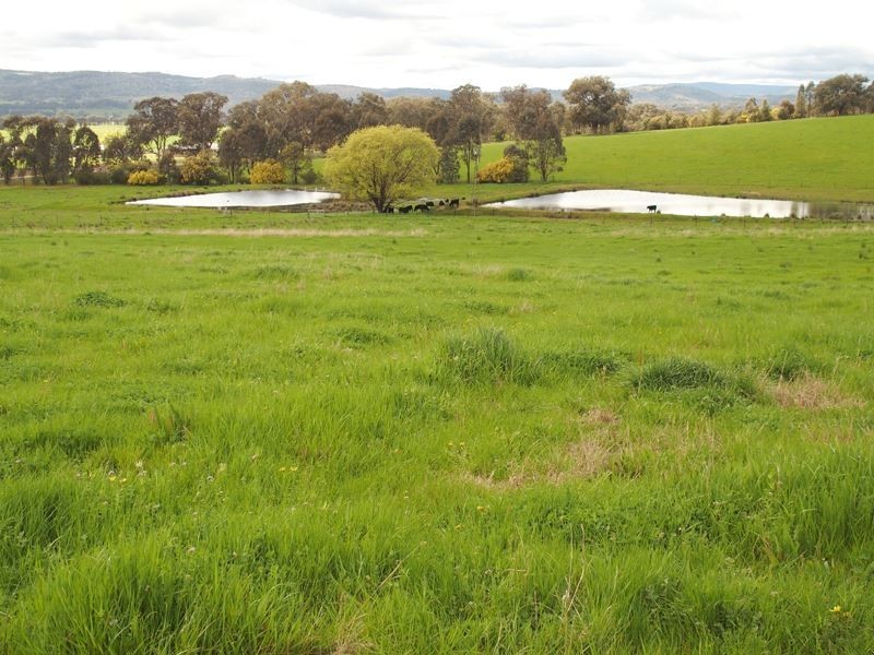 Everton Upper VIC 3678