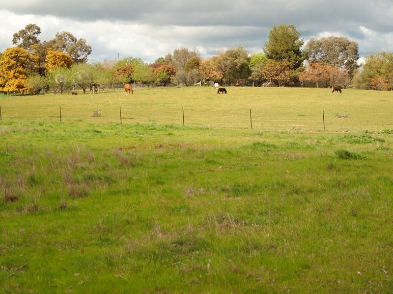 Everton Upper VIC 3678