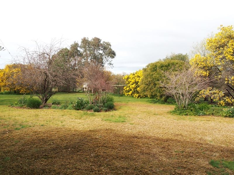 Everton Upper VIC 3678