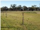 231 River Road, Tarrawingee VIC 3678