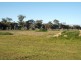 231 River Road, Tarrawingee VIC 3678