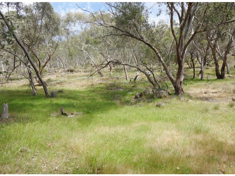 395 Boweya Road, Killawarra VIC 3678