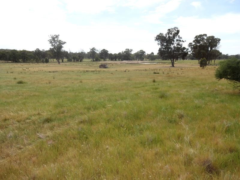 395 Boweya Road, Killawarra VIC 3678