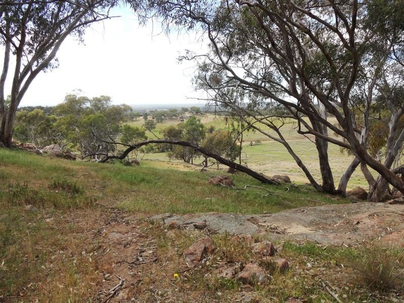 395 Boweya Road, Killawarra VIC 3678