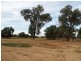 Lot 12 Nolan Lane, Tarrawingee VIC 3678