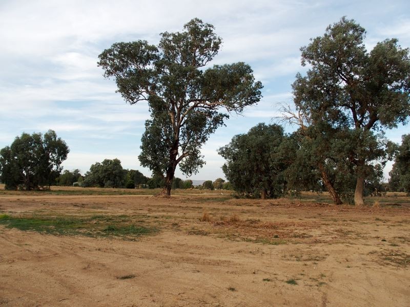 Lot 12 Nolan Lane, Tarrawingee VIC 3678