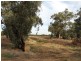 Lot 12 Nolan Lane, Tarrawingee VIC 3678