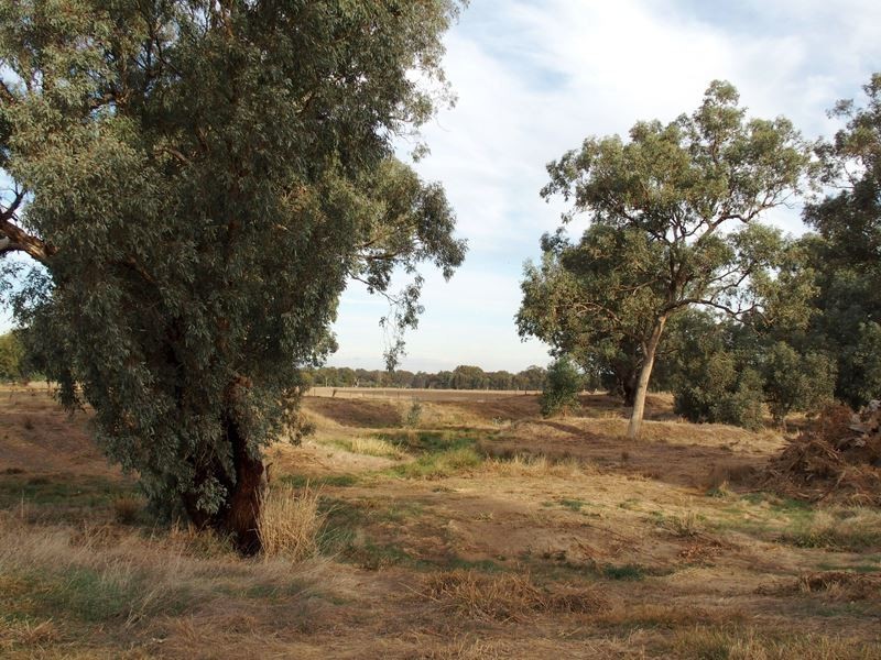 Lot 12 Nolan Lane, Tarrawingee VIC 3678
