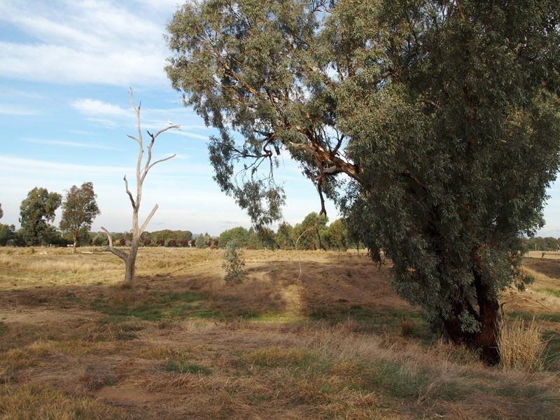 Lot 12 Nolan Lane, Tarrawingee VIC 3678