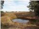 Lot 12 Nolan Lane, Tarrawingee VIC 3678