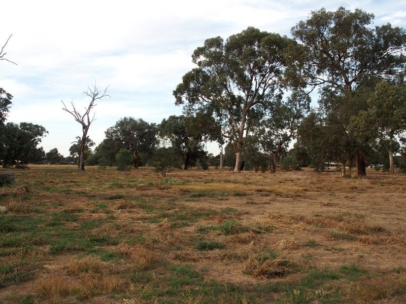 Lot 13 Nolan Lane, Tarrawingee VIC 3678