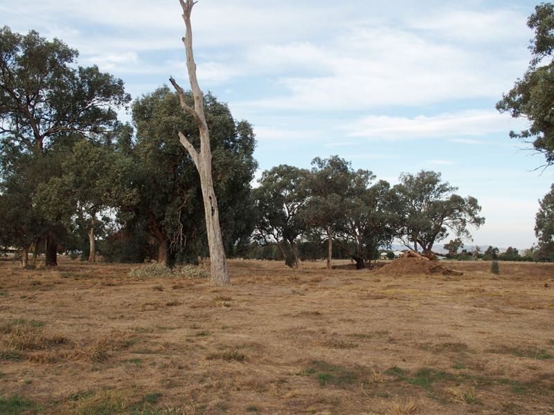 Lot 13 Nolan Lane, Tarrawingee VIC 3678