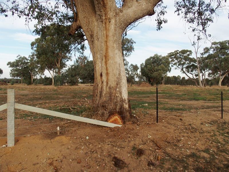 Lot 13 Nolan Lane, Tarrawingee VIC 3678