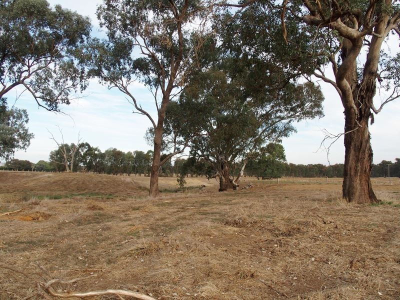 Lot 14 Nolan Lane, Tarrawingee VIC 3678