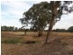Lot 14 Nolan Lane, Tarrawingee VIC 3678