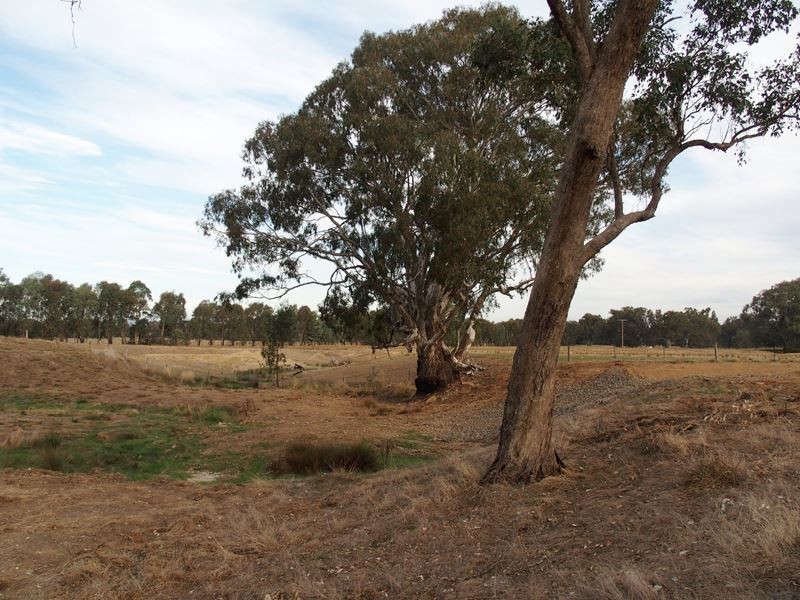 Lot 14 Nolan Lane, Tarrawingee VIC 3678