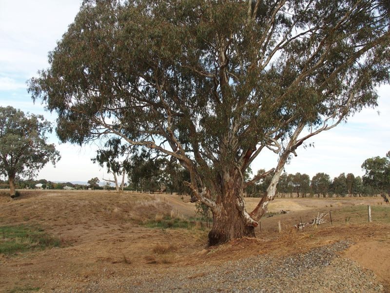 Lot 14 Nolan Lane, Tarrawingee VIC 3678